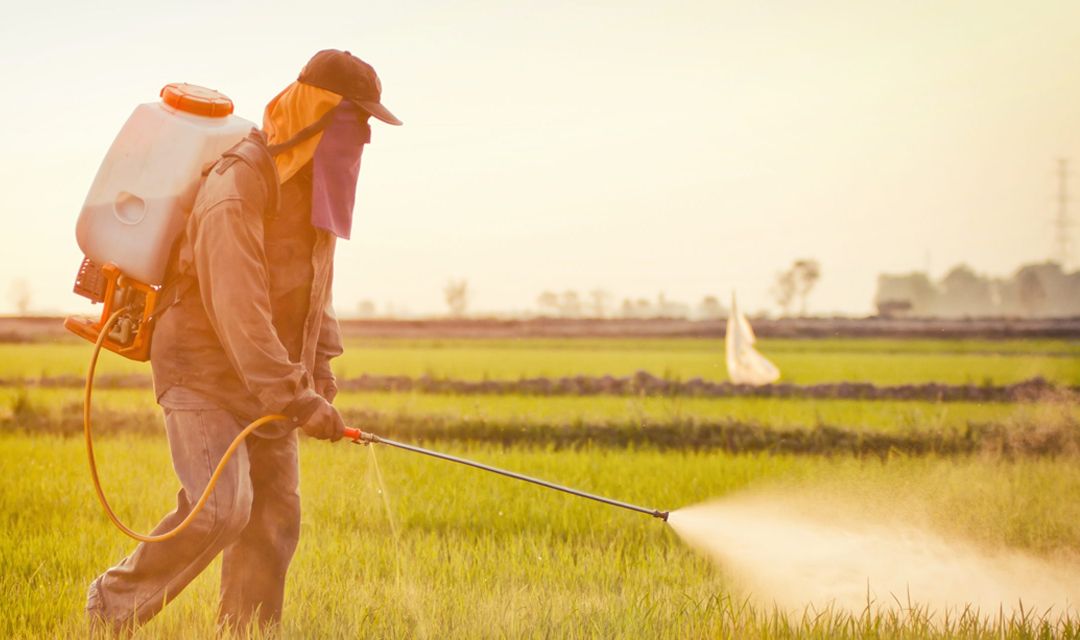 Опубликовано Постановление о создании системы по прослеживаемости агрохимикатов и пестицидов.